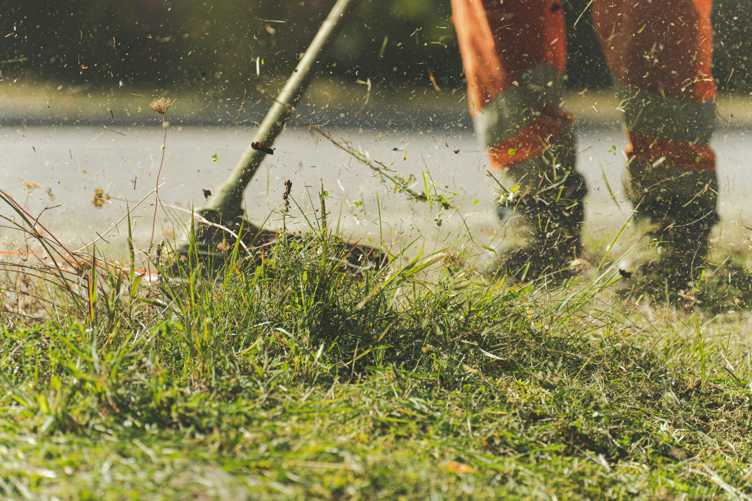 A person trimming grass. Showing due diligence for home services.