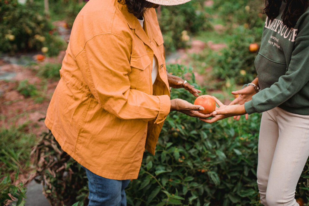 Two produce growers assess their latest harvest.